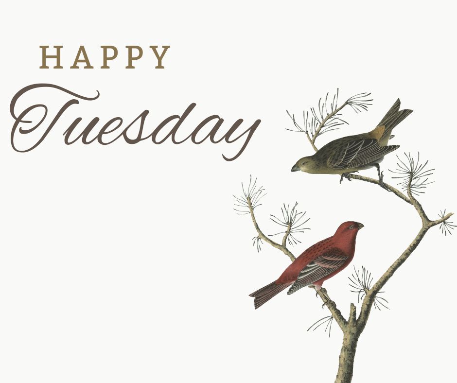Tuesday Prayers