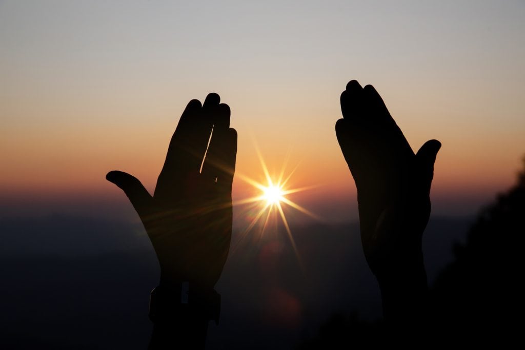 Explore the power of 'Blessed Hand from spiritual rituals to modern healthcare, craftsmanship, and caregiving—as symbols of grace and intention.”